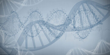 Number DNA Online Software by Neaton Mathematics