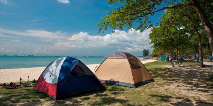 Camping as Curriculum