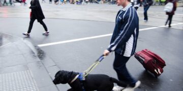 Guide Dogs for the Blind (GDB) – Instill Values in Your Children for a Lifetime