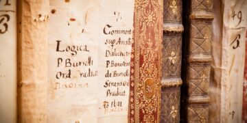 The Power of Language Learning: A Journey from Latin to Greek and Beyond