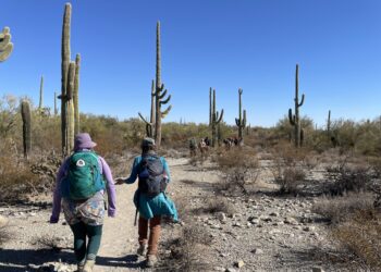 Cottonwood Gulch Expeditions – Outdoor Learning Adventures in the Great Southwest
