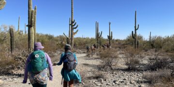 Cottonwood Gulch Expeditions – Outdoor Learning Adventures in the Great Southwest