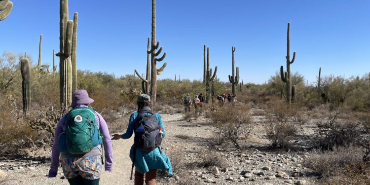 Cottonwood Gulch Expeditions – Outdoor Learning Adventures in the Great Southwest