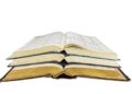 The History of Teaching Reading Over the Past 100 Years